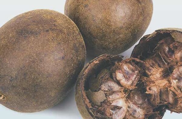 What is monk fruit