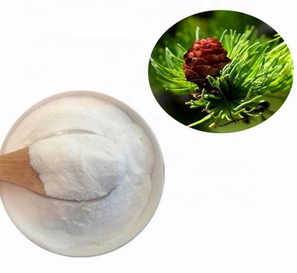 taxifolin powder