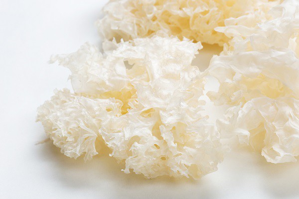 آیا عصاره sporocarp tremella fuciformis در مراقبت از پوست است