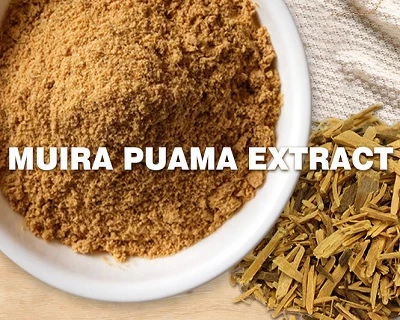 راهنمای تامین کننده عصاره Muira Puama: کیفیت، منبع، و کاربردها