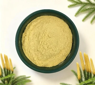 آیا لیکوپودیوم هموسپور است یا هتروسپور؟ راهنمای گیاه شناسی تامین کننده پودر Lycopodium