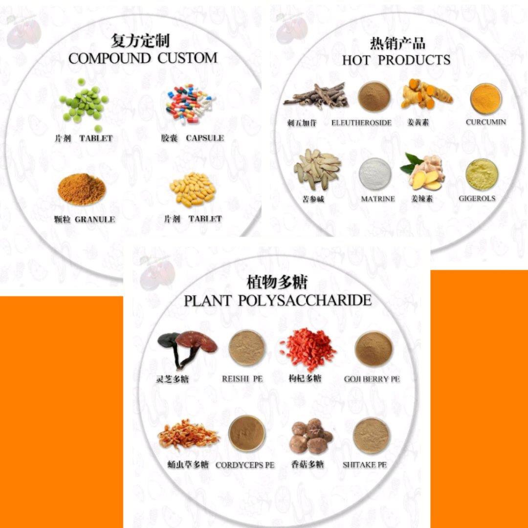 سازنده پودر زردچوبه ارگانیک