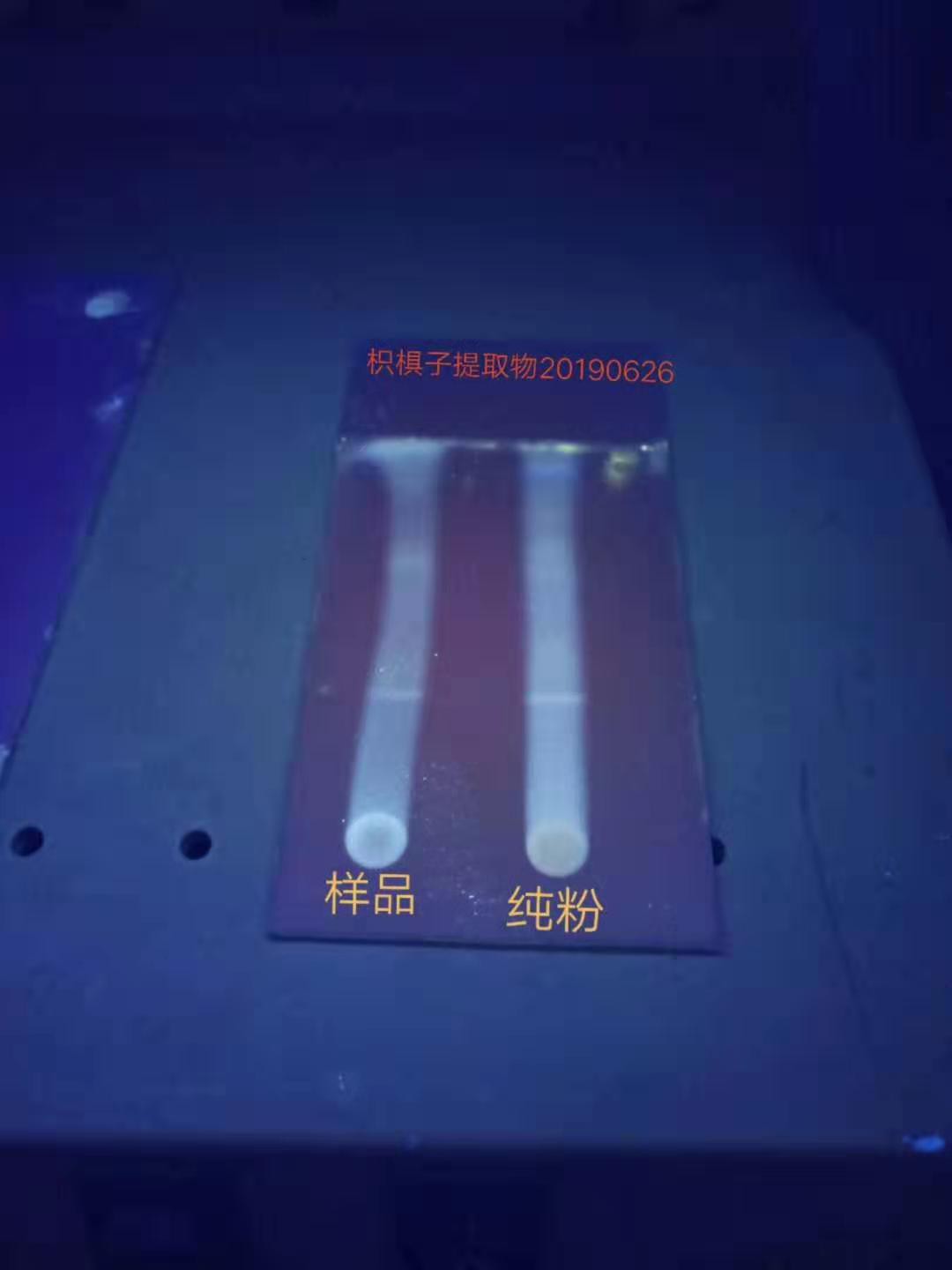 عصاره فندق با خلوص بالا