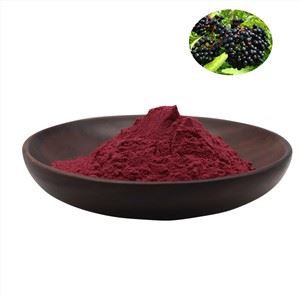 پودر عصاره الدربری