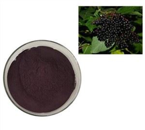 عصاره سامبوکوس الدربری