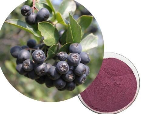 عصاره بری آرونیا