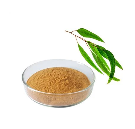 پودر اکالیپتوس