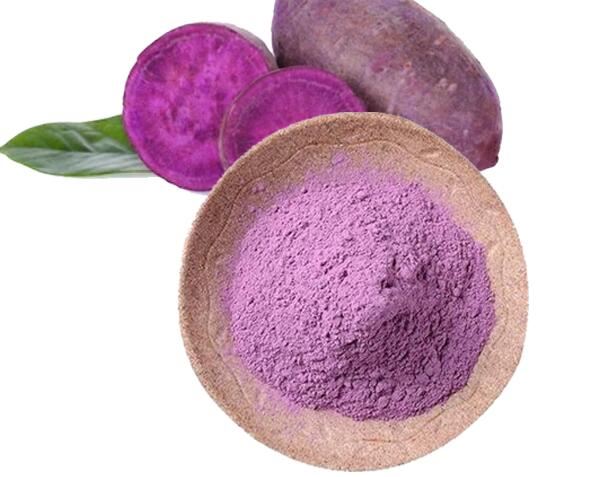 پودر سیب زمینی ارغوانی خشک شده را فریز کنید