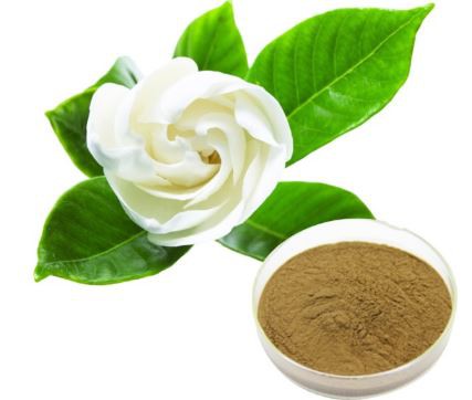 عصاره گل تاهیتنسیس گاردنیا