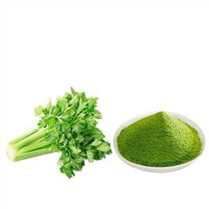 پودر کرفس کشت شده