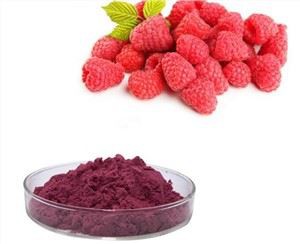 پودر تمشک خشک را فریز کنید