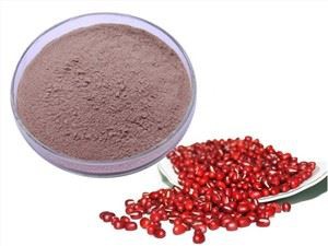یخ خشک پودر لوبیا قرمز