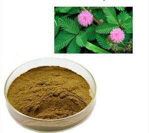 پودر میموسا