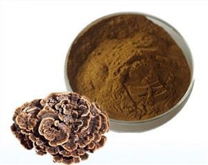 پودر قارچ دم بوقلمون