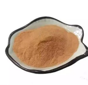 عصاره دانه لنز اسکولنتا