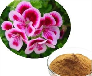 عصاره سیدوئیدهای پلارگونیوم