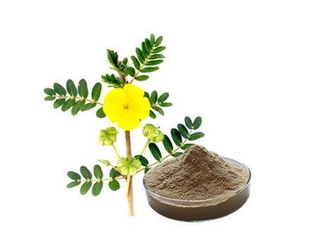 پودر عصاره تریبولوس ترستریس
